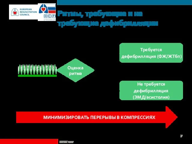 Ритмы, требующие и не требующие дефибрилляции ©ERC vzw