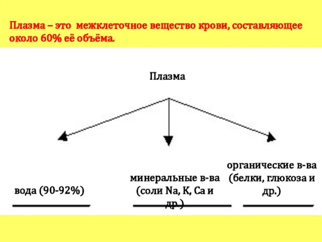 Плазма – это межклеточное вещество крови, составляющее около 60% её объёма.