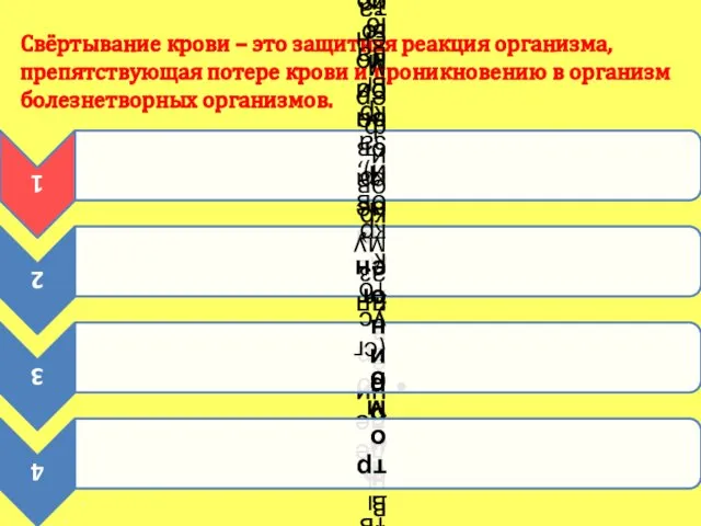 Свёртывание крови – это защитная реакция организма, препятствующая потере крови и проникновению в организм болезнетворных организмов.