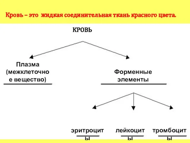 Плазма (межклеточное вещество) Форменные элементы КРОВЬ эритроциты лейкоциты тромбоциты Кровь –