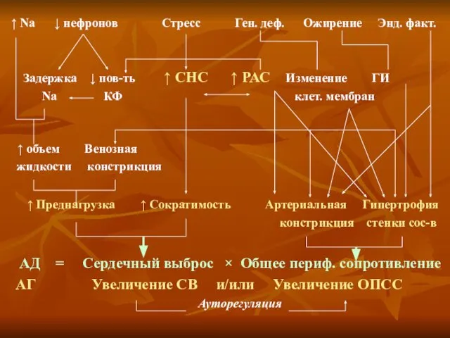 ↑ Na ↓ нефронов Стресс Ген. деф. Ожирение Энд. факт. Задержка