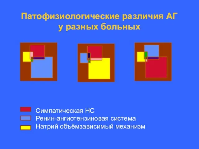 Патофизиологические различия АГ у разных больных Симпатическая НС Ренин-ангиотензиновая система Натрий объёмзависимый механизм