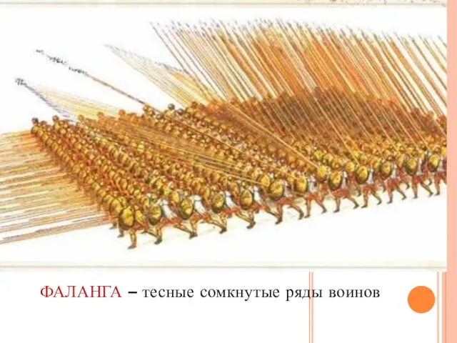 ФАЛАНГА – тесные сомкнутые ряды воинов