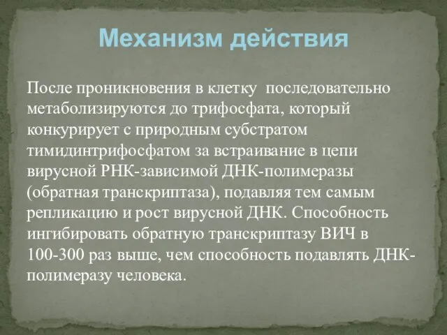 После проникновения в клетку последовательно метаболизируются до трифосфата, который конкурирует с