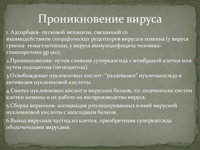 1. Адсорбция- пусковой механизм, связанный со взаимодействием специфических рецепторов вируса и