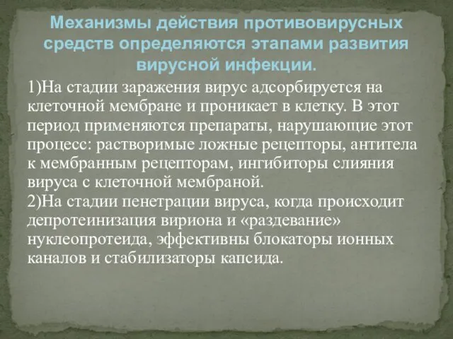 1)На стадии заражения вирус адсорбируется на клеточной мембране и проникает в