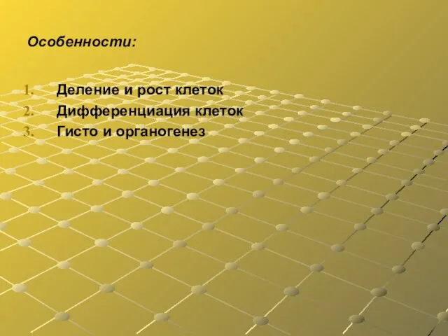 Особенности: Деление и рост клеток Дифференциация клеток Гисто и органогенез