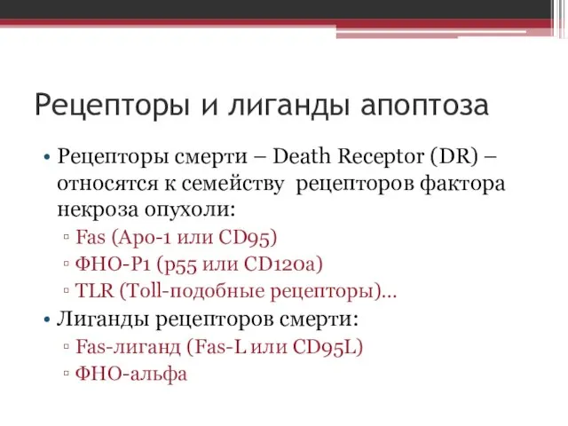 Рецепторы и лиганды апоптоза Рецепторы смерти – Death Receptor (DR) –