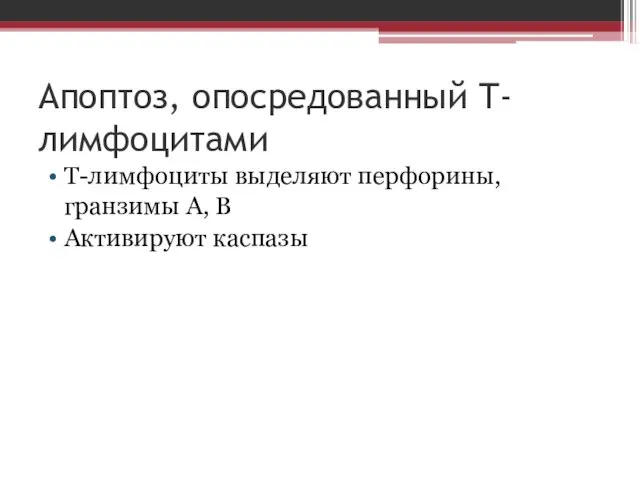 Апоптоз, опосредованный Т-лимфоцитами Т-лимфоциты выделяют перфорины, гранзимы А, В Активируют каспазы