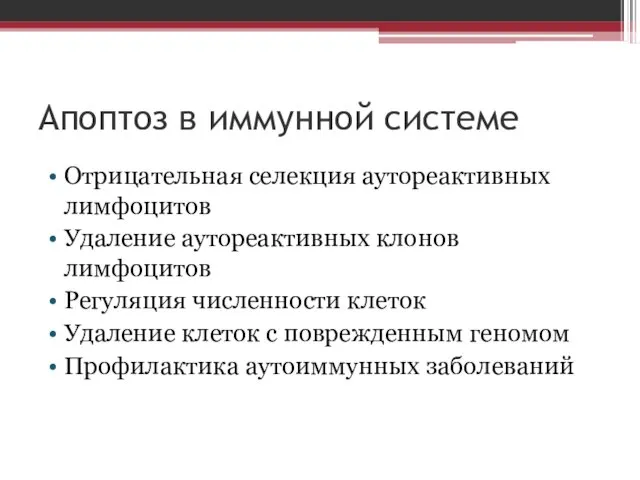 Апоптоз в иммунной системе Отрицательная селекция аутореактивных лимфоцитов Удаление аутореактивных клонов