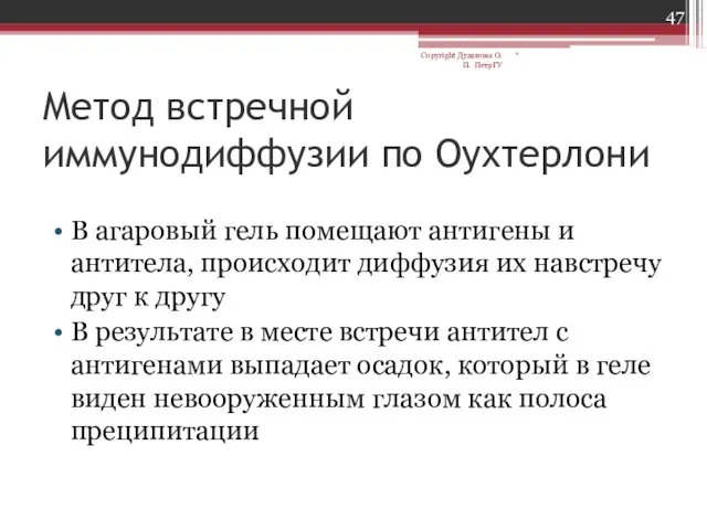 Метод встречной иммунодиффузии по Оухтерлони В агаровый гель помещают антигены и