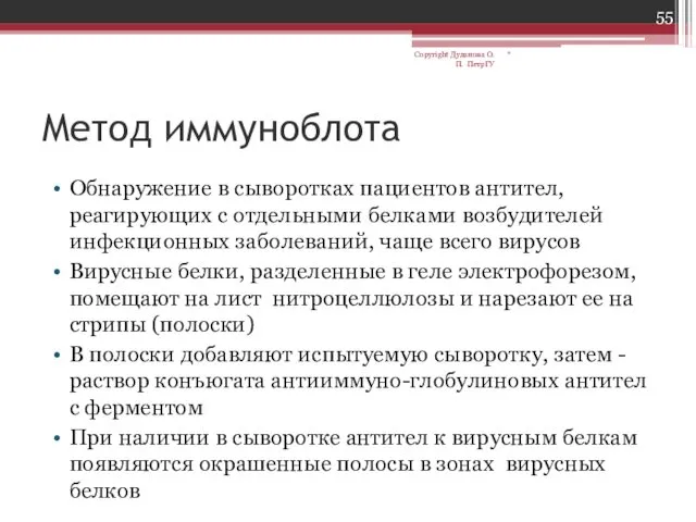 Метод иммуноблота Обнаружение в сыворотках пациентов антител, реагирующих с отдельными белками