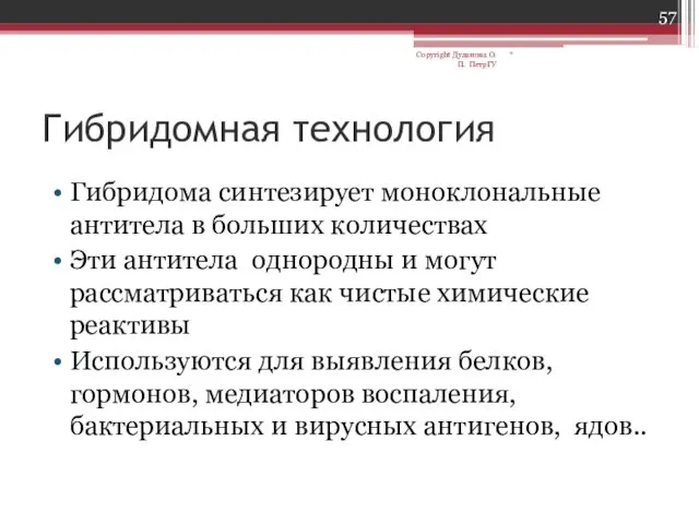 Гибридомная технология Гибридома синтезирует моноклональные антитела в больших количествах Эти антитела