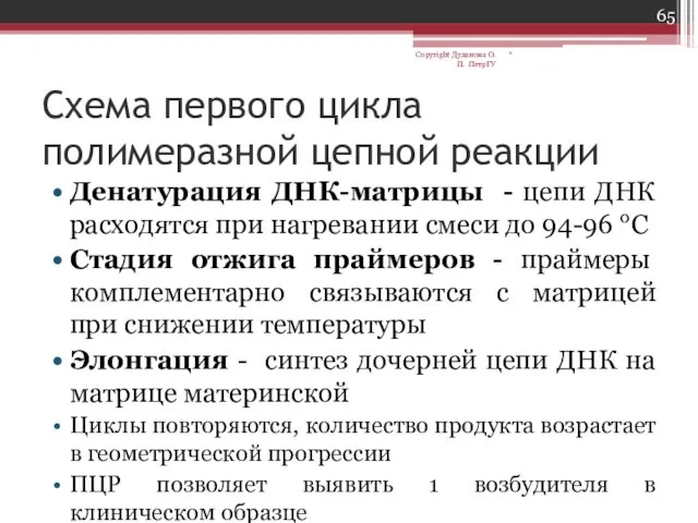 Схема первого цикла полимеразной цепной реакции Денатурация ДНК-матрицы - цепи ДНК