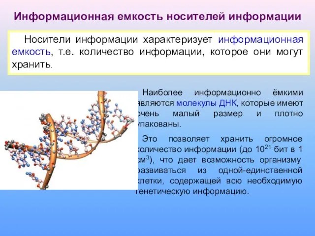 Информационная емкость носителей информации Носители информации характеризует информационная емкость, т.е. количество