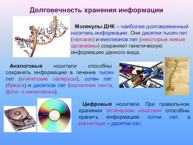 Молекулы ДНК – наиболее долговременный носитель информации. Они десятки тысяч лет