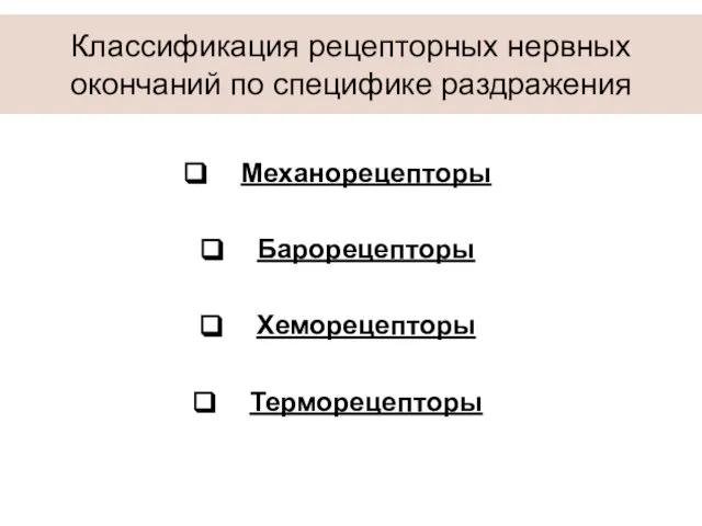 Механорецепторы Барорецепторы Хеморецепторы Терморецепторы Классификация рецепторных нервных окончаний по специфике раздражения