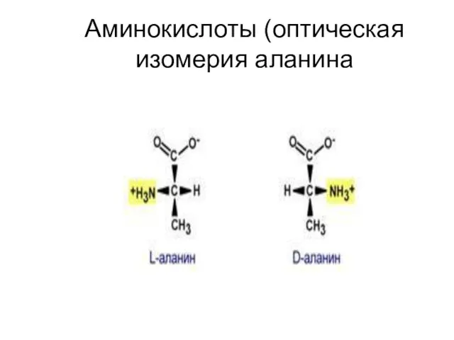 Аминокислоты (оптическая изомерия аланина