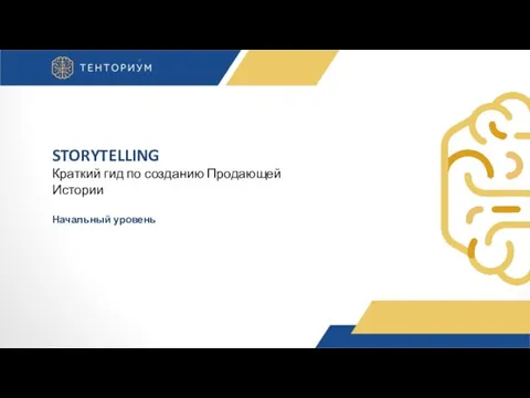 STORYTELLING Краткий гид по созданию Продающей Истории Начальный уровень