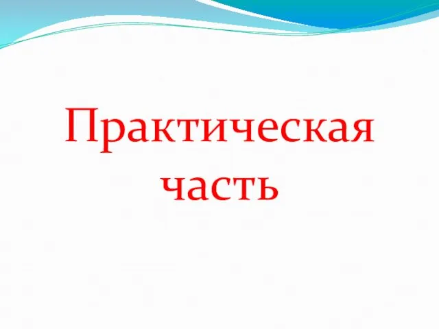 Практическая часть