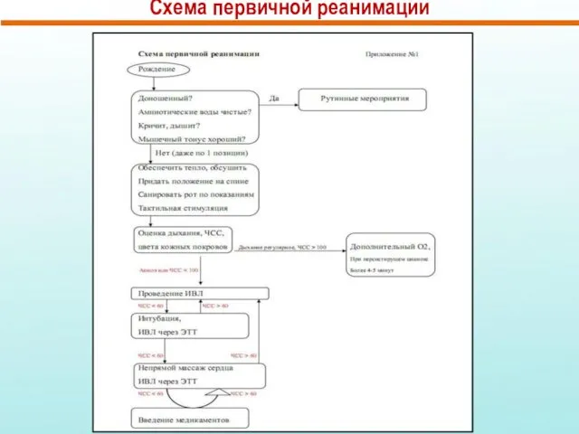 Схема первичной реанимации