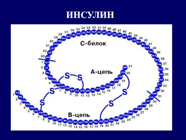 ИНСУЛИН