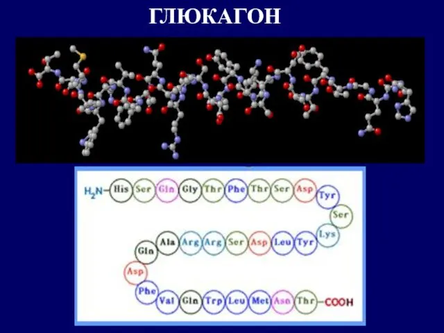 ГЛЮКАГОН