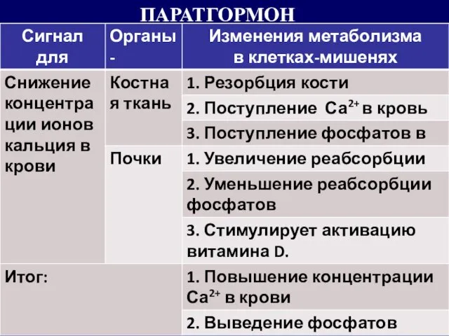 ПАРАТГОРМОН