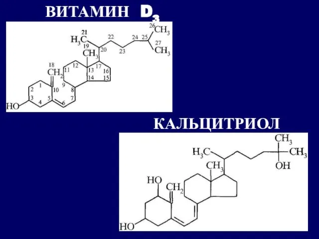 ВИТАМИН D3 КАЛЬЦИТРИОЛ