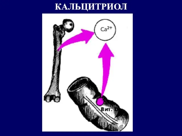 КАЛЬЦИТРИОЛ