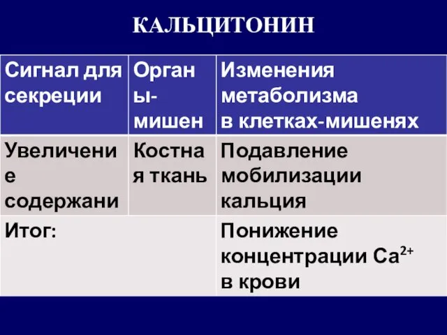 КАЛЬЦИТОНИН