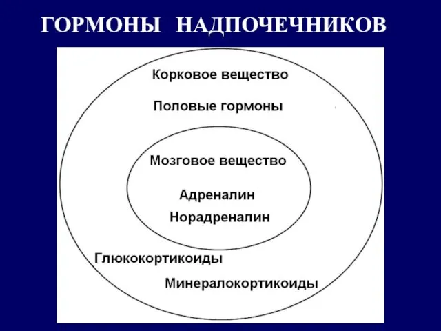 ГОРМОНЫ НАДПОЧЕЧНИКОВ