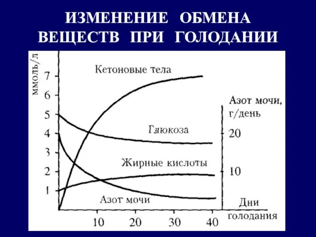 ИЗМЕНЕНИЕ ОБМЕНА ВЕЩЕСТВ ПРИ ГОЛОДАНИИ