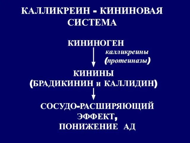 КАЛЛИКРЕИН - КИНИНОВАЯ СИСТЕМА КИНИНОГЕН калликреины (протеиназы) КИНИНЫ (БРАДИКИНИН и КАЛЛИДИН) СОСУДО-РАСШИРЯЮЩИЙ ЭФФЕКТ, ПОНИЖЕНИЕ АД