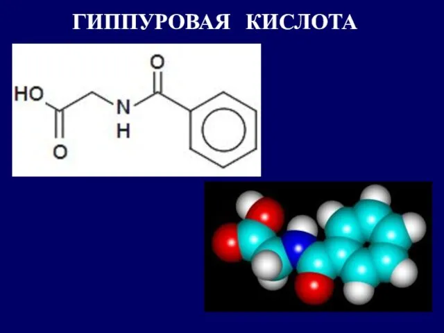 ГИППУРОВАЯ КИСЛОТА