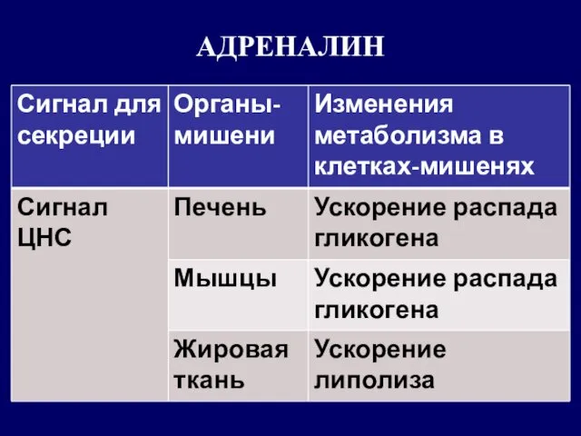 АДРЕНАЛИН