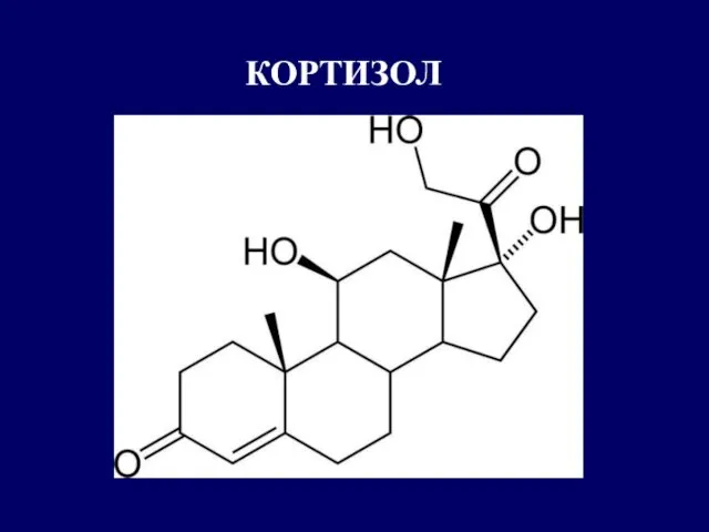 КОРТИЗОЛ