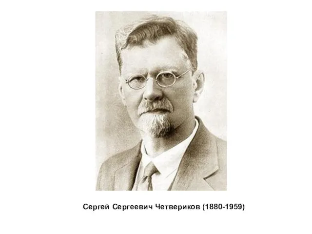 Сергей Сергеевич Четвериков (1880-1959)