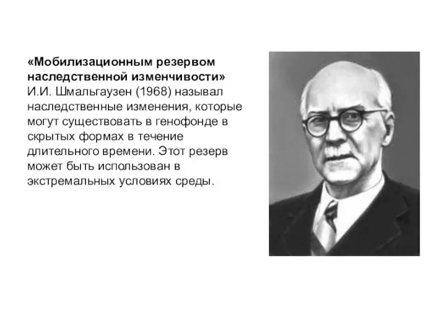 «Мобилизационным резервом наследственной изменчивости» И.И. Шмальгаузен (1968) называл наследственные изменения, которые