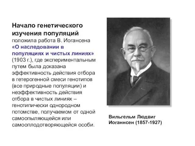 Вильгельм Людвиг Иоганнсен (1857-1927) Начало генетического изучения популяций положила работа В.