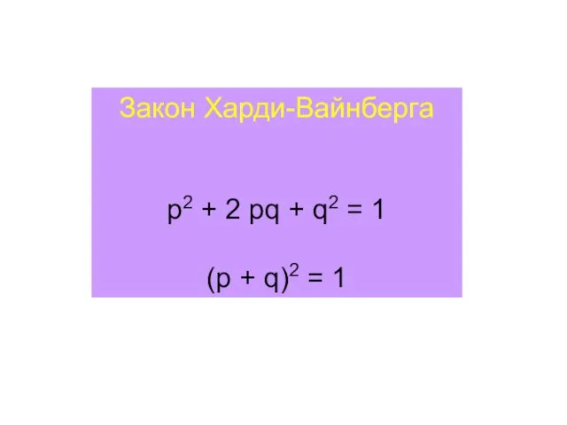 Закон Харди-Вайнберга p2 + 2 pq + q2 = 1 (p + q)2 = 1