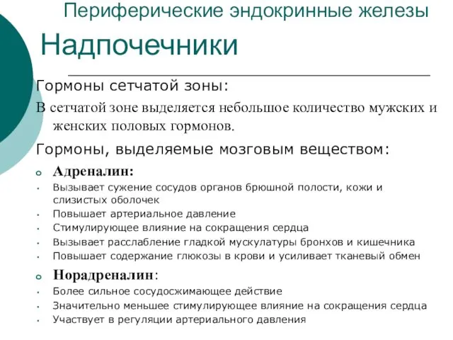 Периферические эндокринные железы Гормоны сетчатой зоны: В сетчатой зоне выделяется небольшое