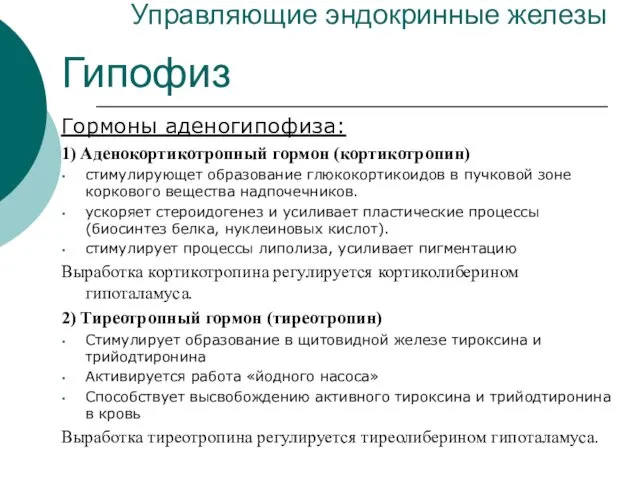 Управляющие эндокринные железы Гипофиз Гормоны аденогипофиза: 1) Аденокортикотропный гормон (кортикотропин) стимулирующет