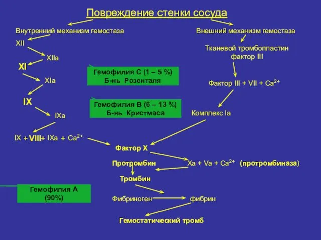 Повреждение стенки сосуда Внутренний механизм гемостаза XII XIIa XI XIa IX