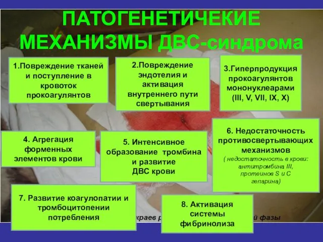 ПАТОГЕНЕТИЧЕКИЕ МЕХАНИЗМЫ ДВС-синдрома 1.Повреждение тканей и поступление в кровоток прокоагулянтов 3.Гиперпродукция