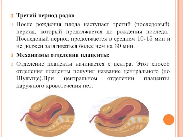 Третий период родов После рождения плода наступает третий (последовый) период, который