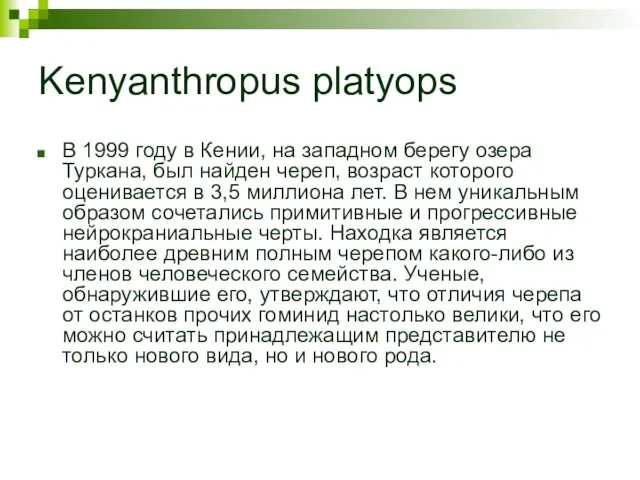 Kenyanthropus platyops В 1999 году в Кении, на западном берегу озера