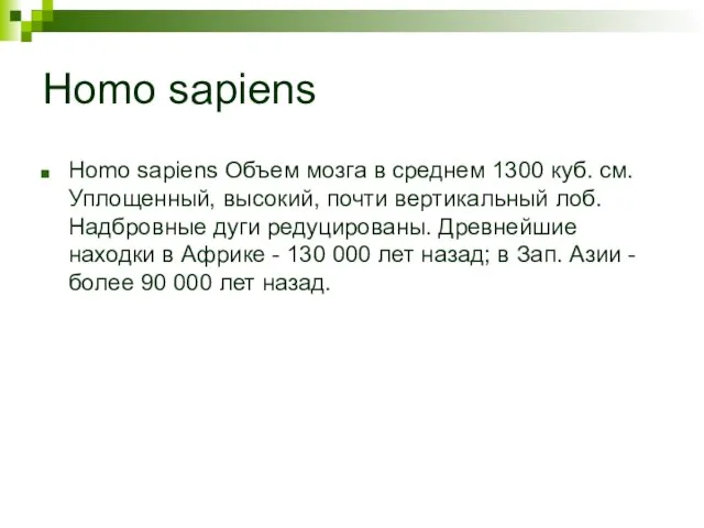 Homo sapiens Homo sapiens Объем мозга в среднем 1300 куб. см.