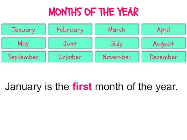 MONTHS OF THE YEAR January February March April May June July