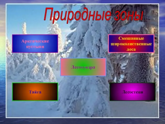 Природные зоны Арктические пустыни Лесотундра Тайга Лесостепи Смешанные широколиственные леса